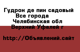 Гудрон де пин садовый - Все города  »    . Челябинская обл.,Верхний Уфалей г.